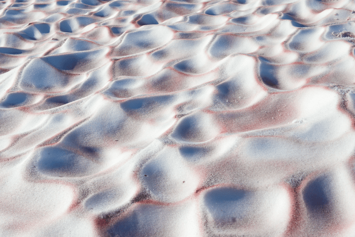 snowy landscape with red pink tinted algae activated by UV rays is seen in sunlight