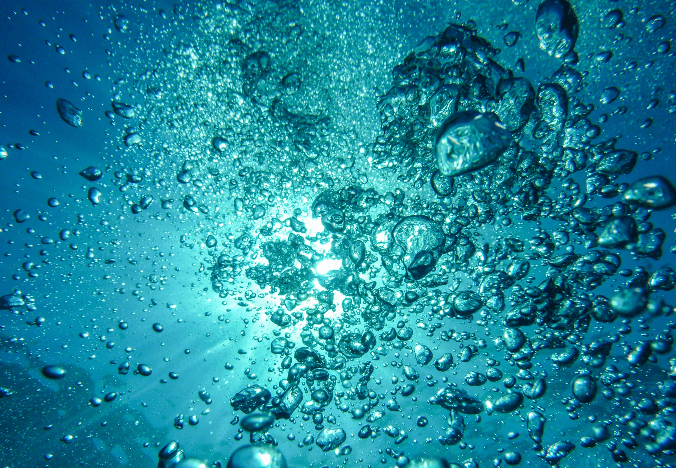 underwater photograph of bubbles