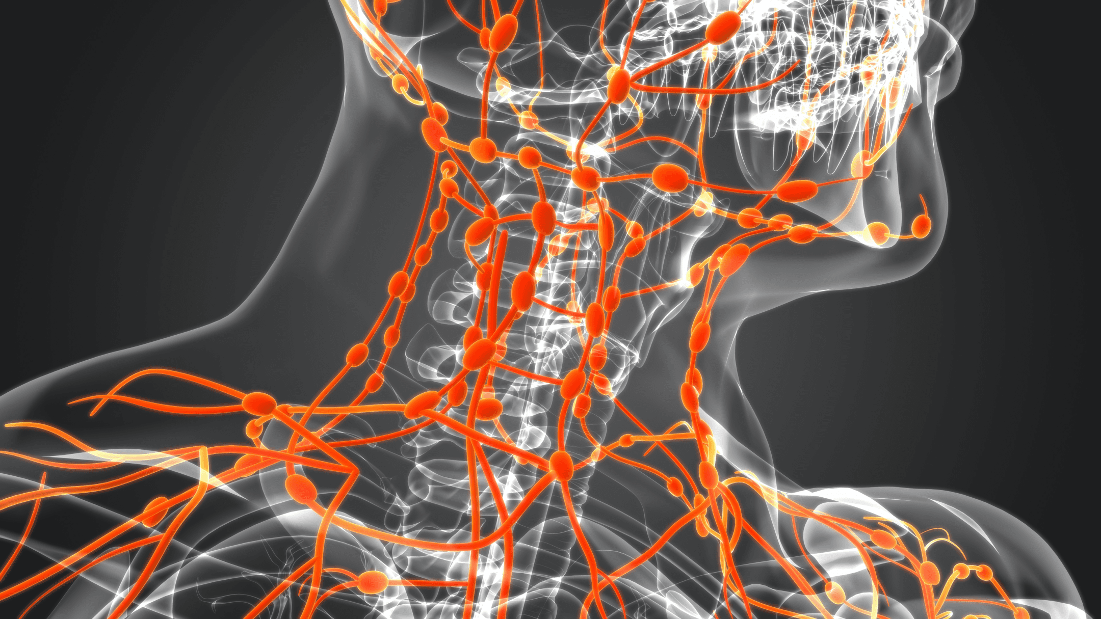 black, white and orange 3d image of human lymphatic system