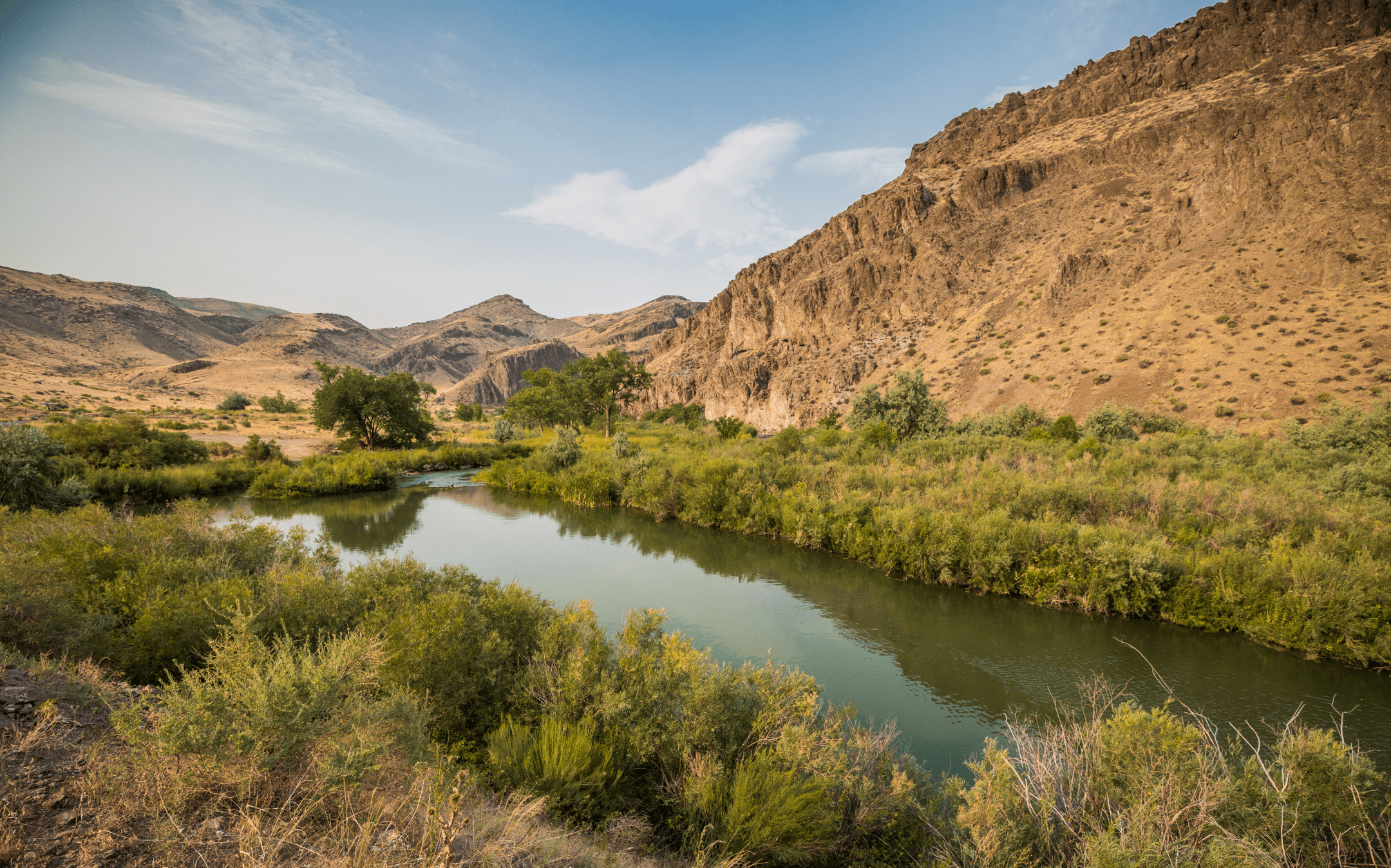 Communities Recover From Floods — Biological Strategy — AskNature