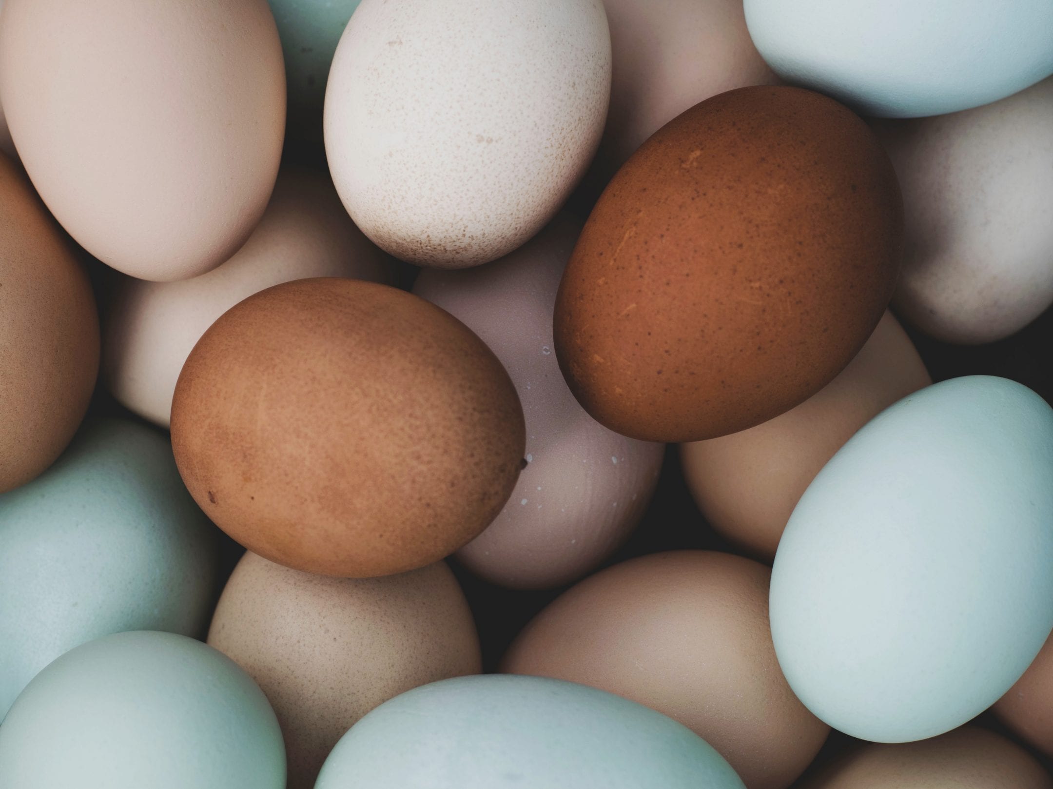 over head view of chicken eggs of varying colors