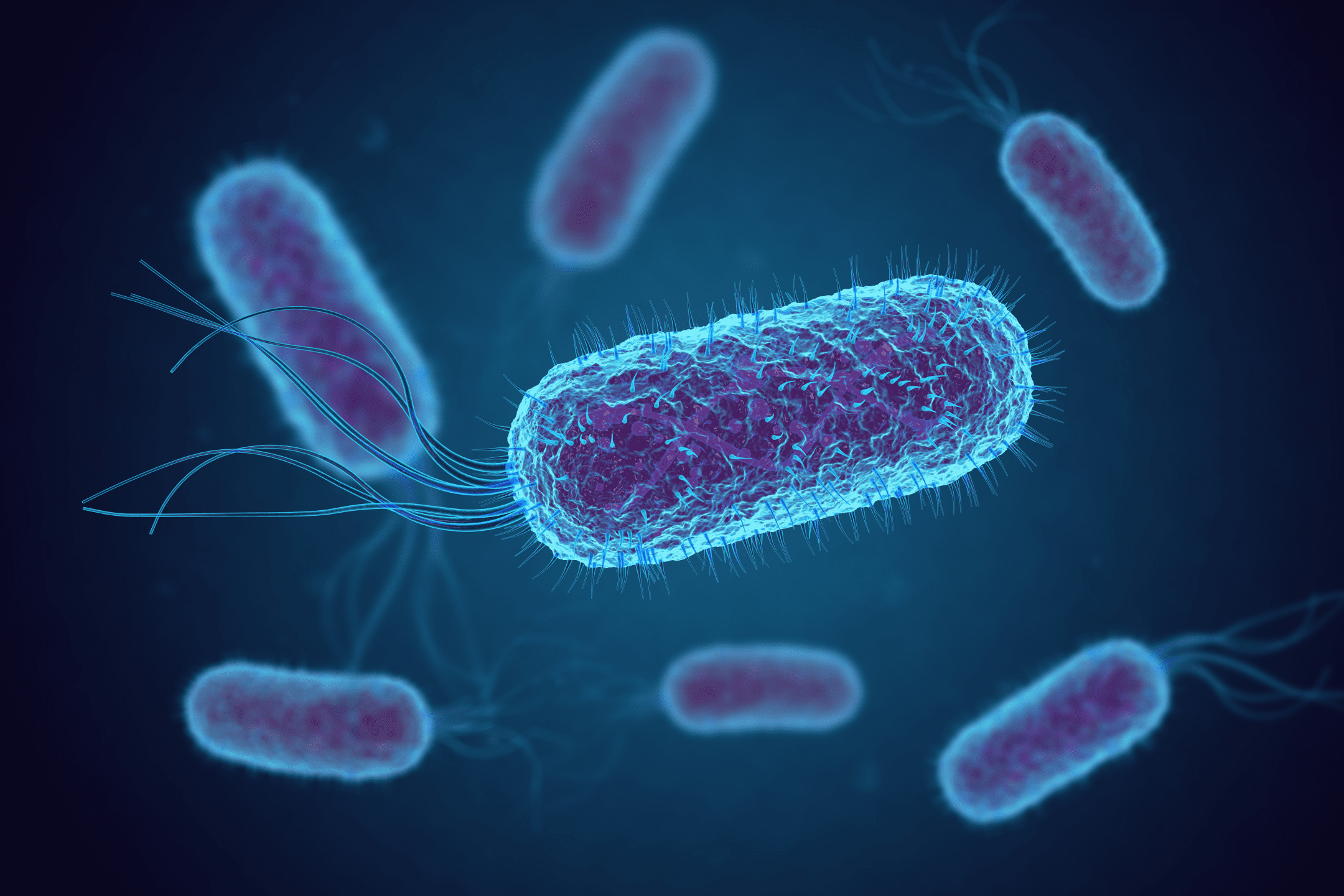 3D image of blue and purple bacteria against dark blue background