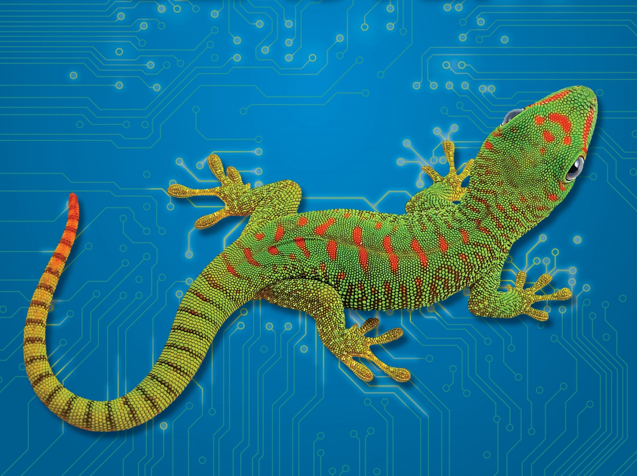 Beasts Science Beastly Bionics — Resource — AskNature