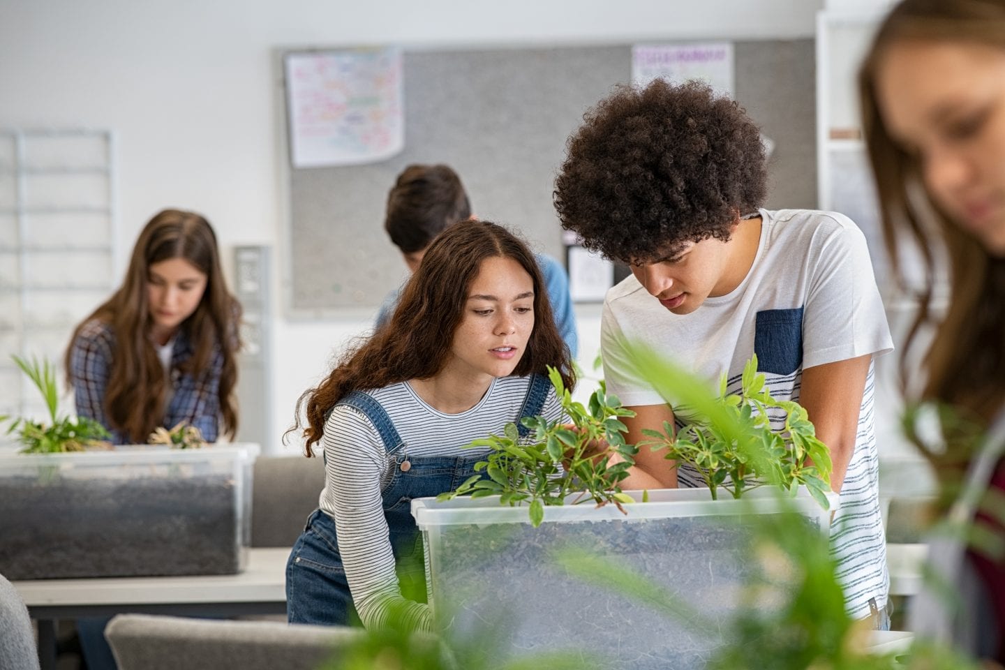Students examine a plant specimen in lab classroom