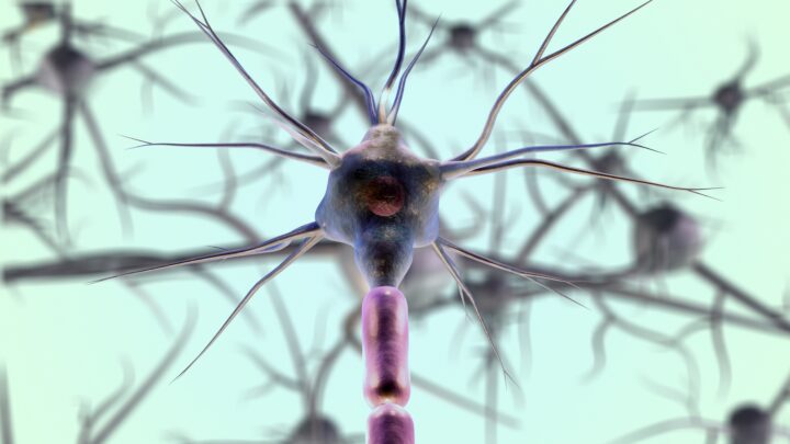 Brain neuron illustration
