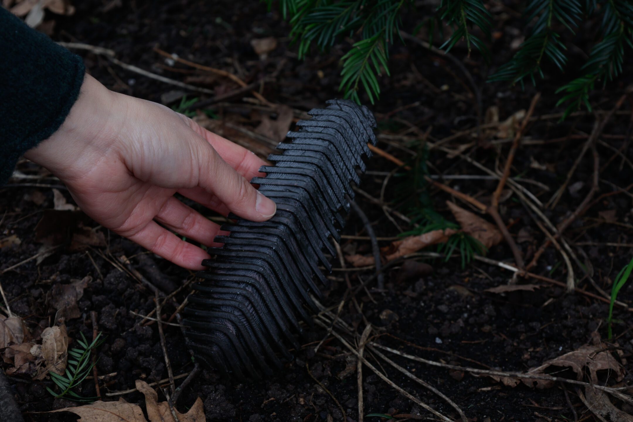 Wildfire Detection Device Inspired by Pine Cones — Innovation — AskNature